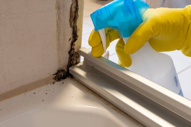 Best Mold Remediation for Specific Building Types in Crowley Lake, CA